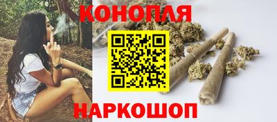 гашик Лесосибирск