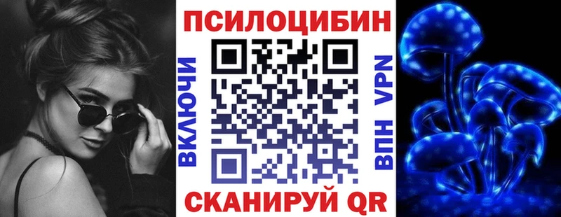 кракен как войти  Тольятти  Псилоцибиновые грибы Cubensis 
